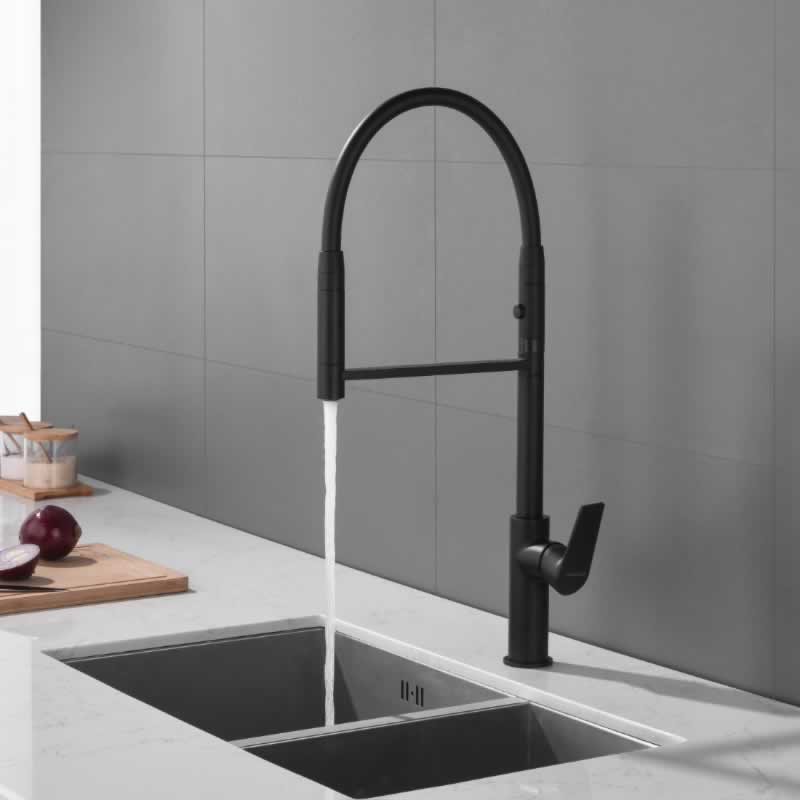 Kitchen Faucet 11088QT